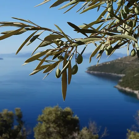 Skorpios Holiday home Vasiliki (Lefkada)